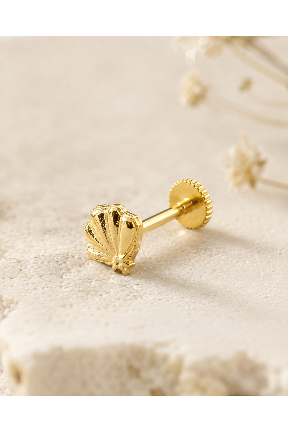 14 Ayar Altın Minimal Deniz Kabuğu Tragus Küpe Vidalı Piercing